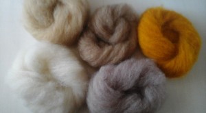 12039497_1067372536628931_2780826564197782278_n[1]