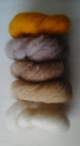 12049718_1067372499962268_3287248116117472968_n[1]