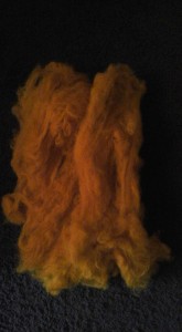 12079725_1063765486989636_5491976213953954506_n[1]